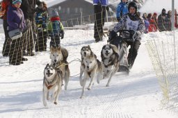 Lenk 2012 SM
